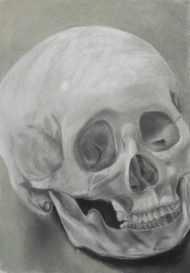drawing of skull ailysh cooper